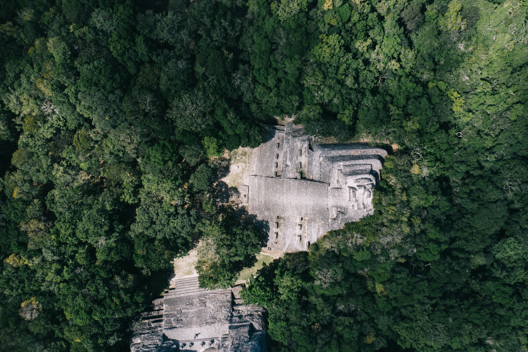 Calakmul, Reino de la Serpiente