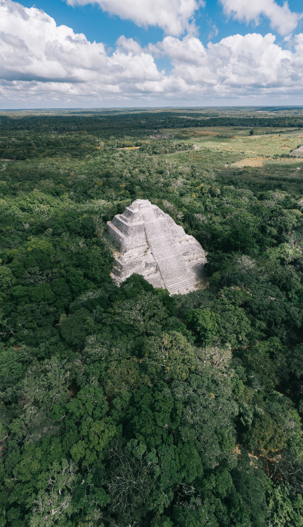 Calakmul, Reino de la Serpiente